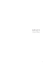DAIKO_SPICYLIGHTING2017