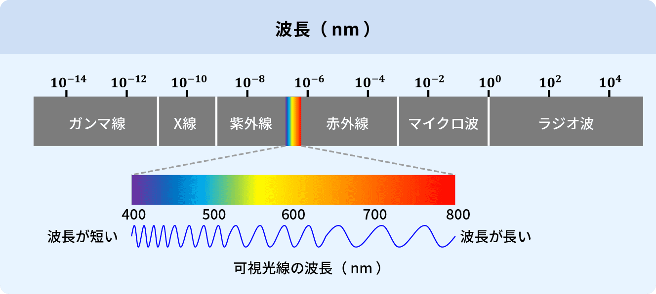 波長（ nm ）