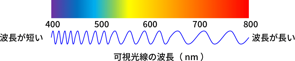 可視光線の波長（ nm ）