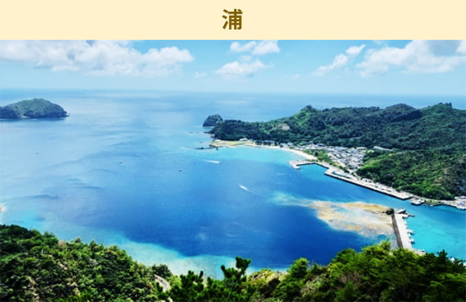 浦