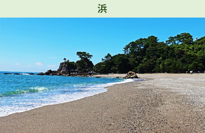 浜