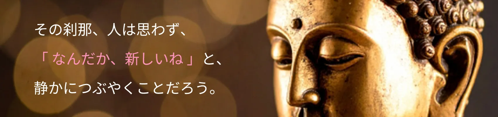 その刹那、人は思わず、「なんだか、新しいね」と、静かにつぶやくことだろう。