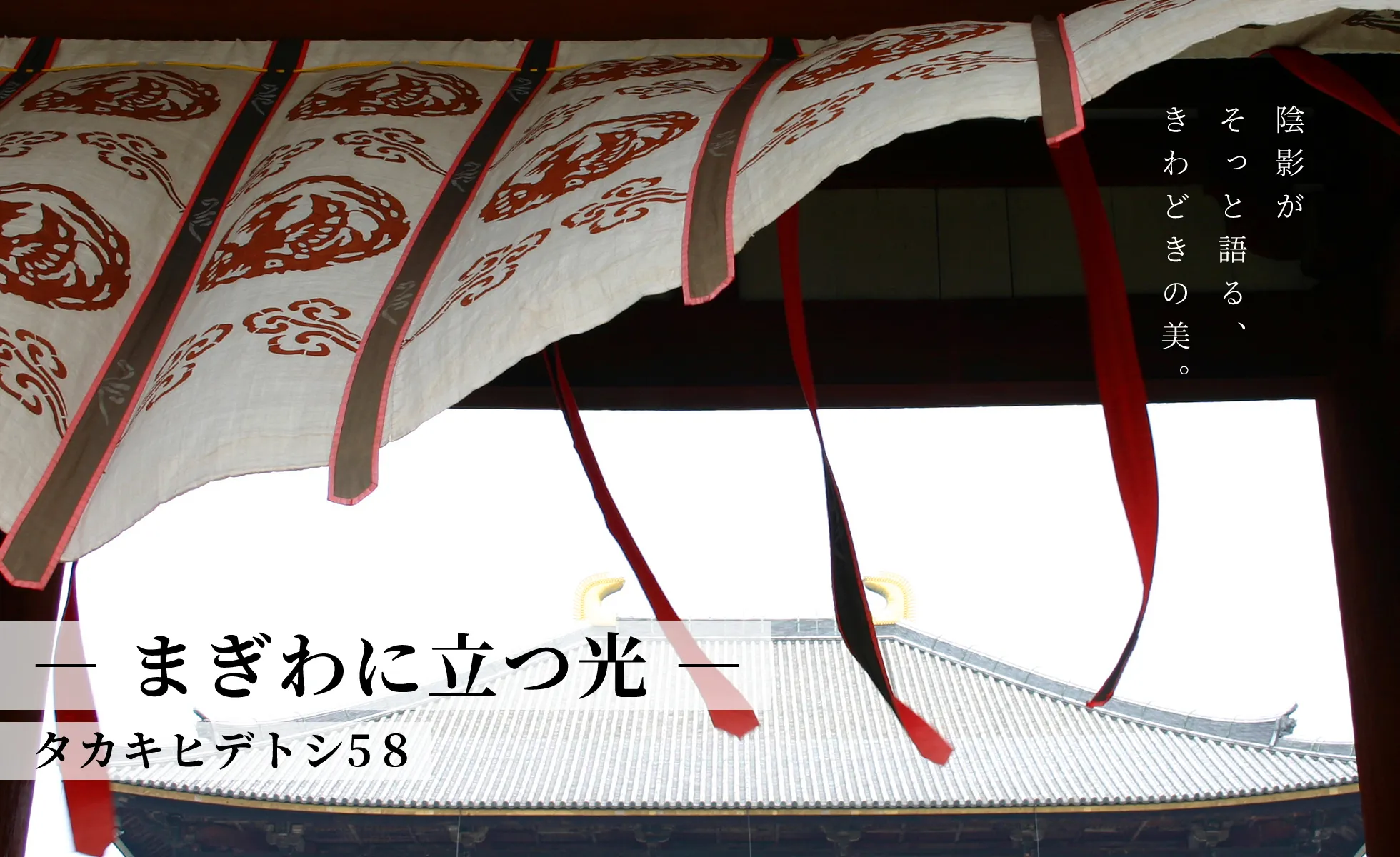 陰影がそっと語る、きわどきの美。まぎわに立つ光 タカキヒデトシ58